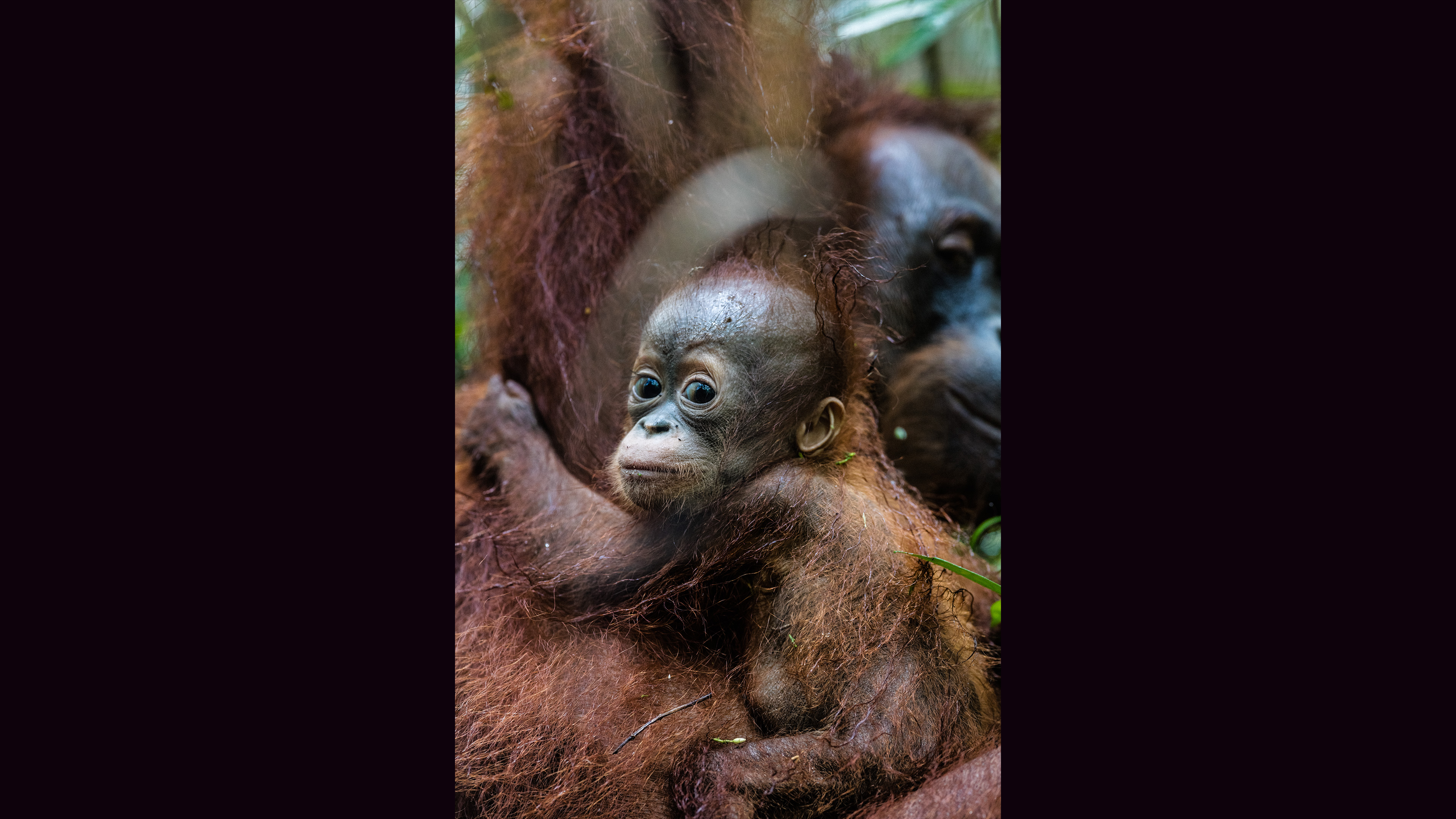 Community interaction